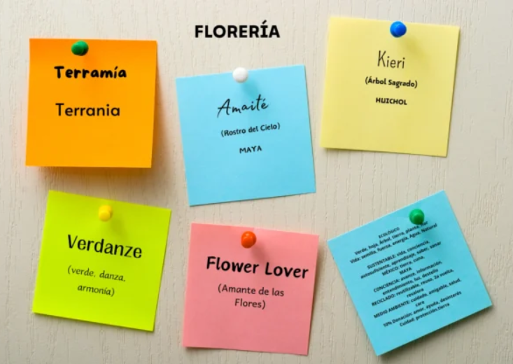 Imagen del curso de naming